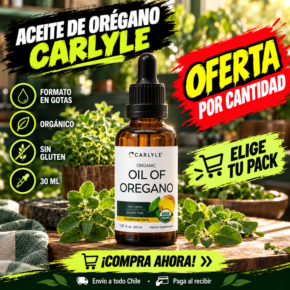 OIL OF OREGANO
