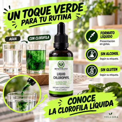 ¿Pesadez después de comer, mal aliento y olores corporales que te incomodan?